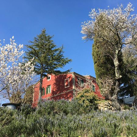 Piccola Casa Toscana Con Giardino Con Vista Mozzafiato Podere Cordicella Εξωτερικό φωτογραφία