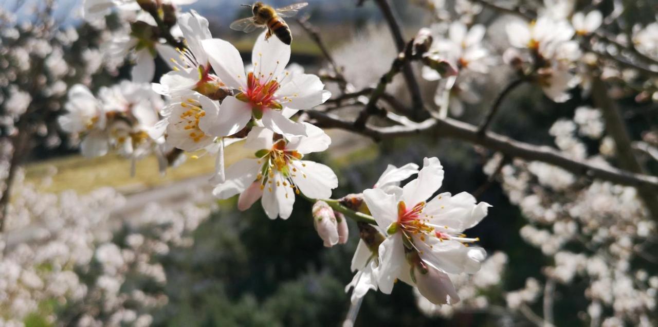 Piccola Casa Toscana Con Giardino Con Vista Mozzafiato Podere Cordicella Εξωτερικό φωτογραφία