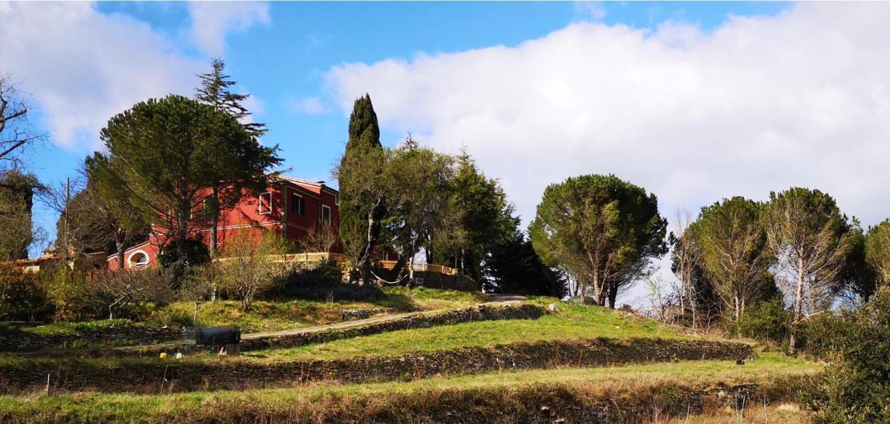 Piccola Casa Toscana Con Giardino Con Vista Mozzafiato Podere Cordicella Εξωτερικό φωτογραφία